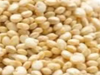 Quinoa