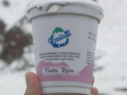 YOGURT PROTEICO  DESLACTOSADO NATURAL 310g