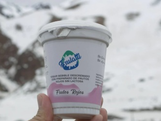 YOGURT BEBIBLE SIN LACTOSA DESCREMADO