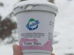 YOGURT BEBIBLE DESCREMADO   ENDULZADOS 300GR