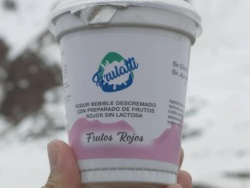 YOGURT FIRME DESCREMADO 200G NATURAL