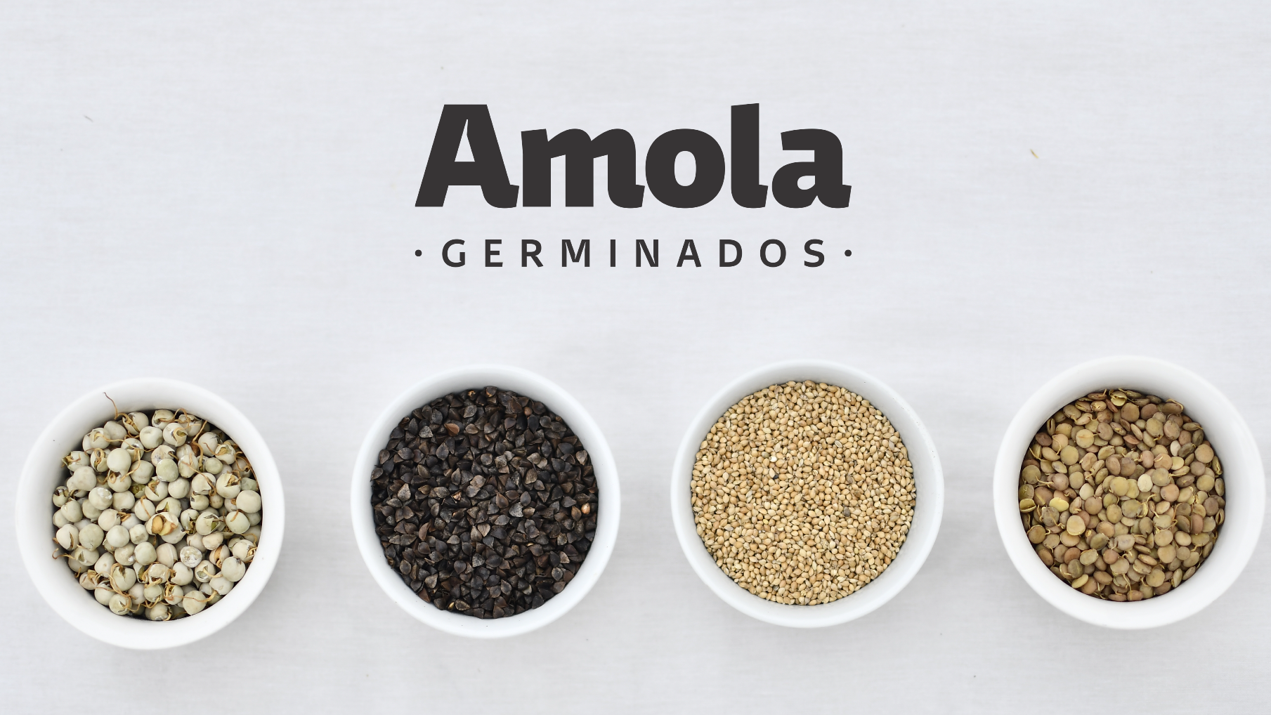 GERMINADOS (Legumbres y Harinas sin TACC)