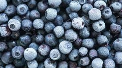 frutas y  vegetales congelados