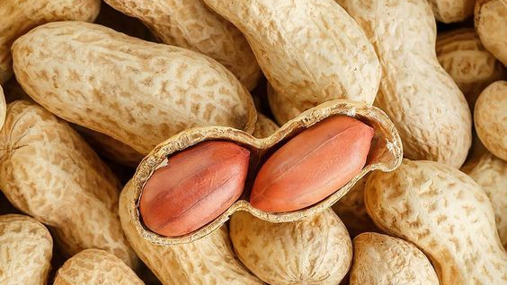 snack salados y sin sal