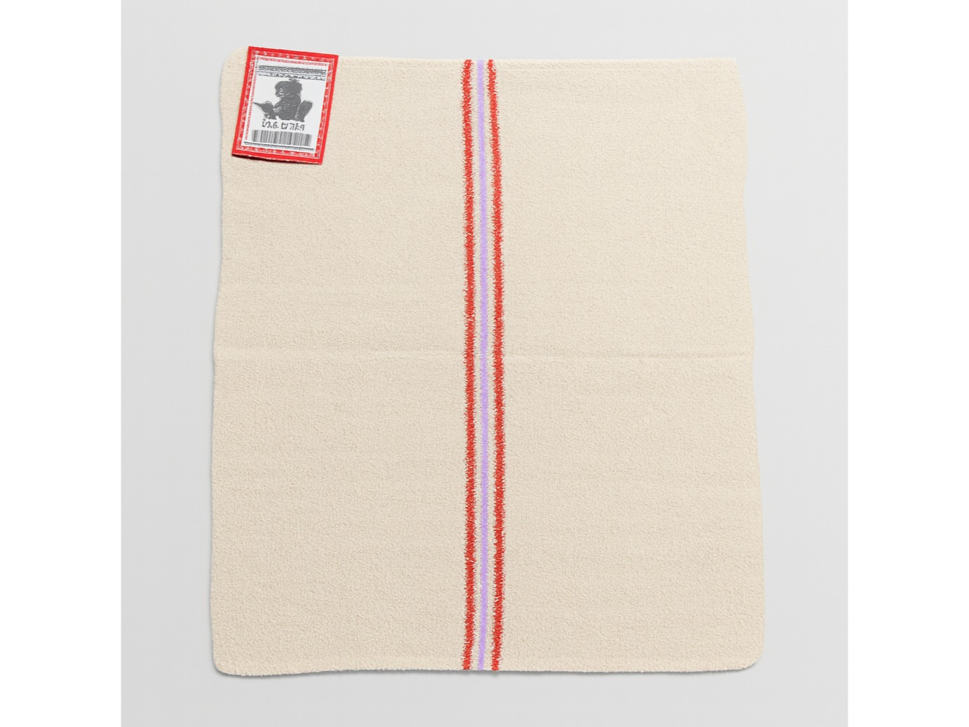 REJILLA LAVA AUTO DOBLE PROFESIONAL (EL TOPO) 48X63CM