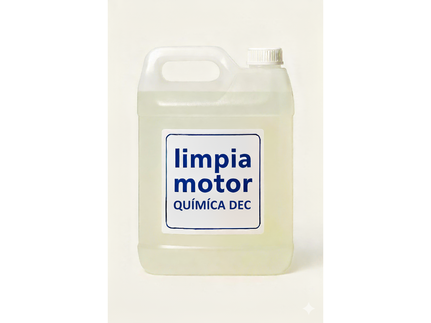 LIMPIA MOTOR