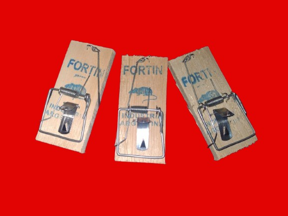 TRAMPERAS LAUCHAS CHICA