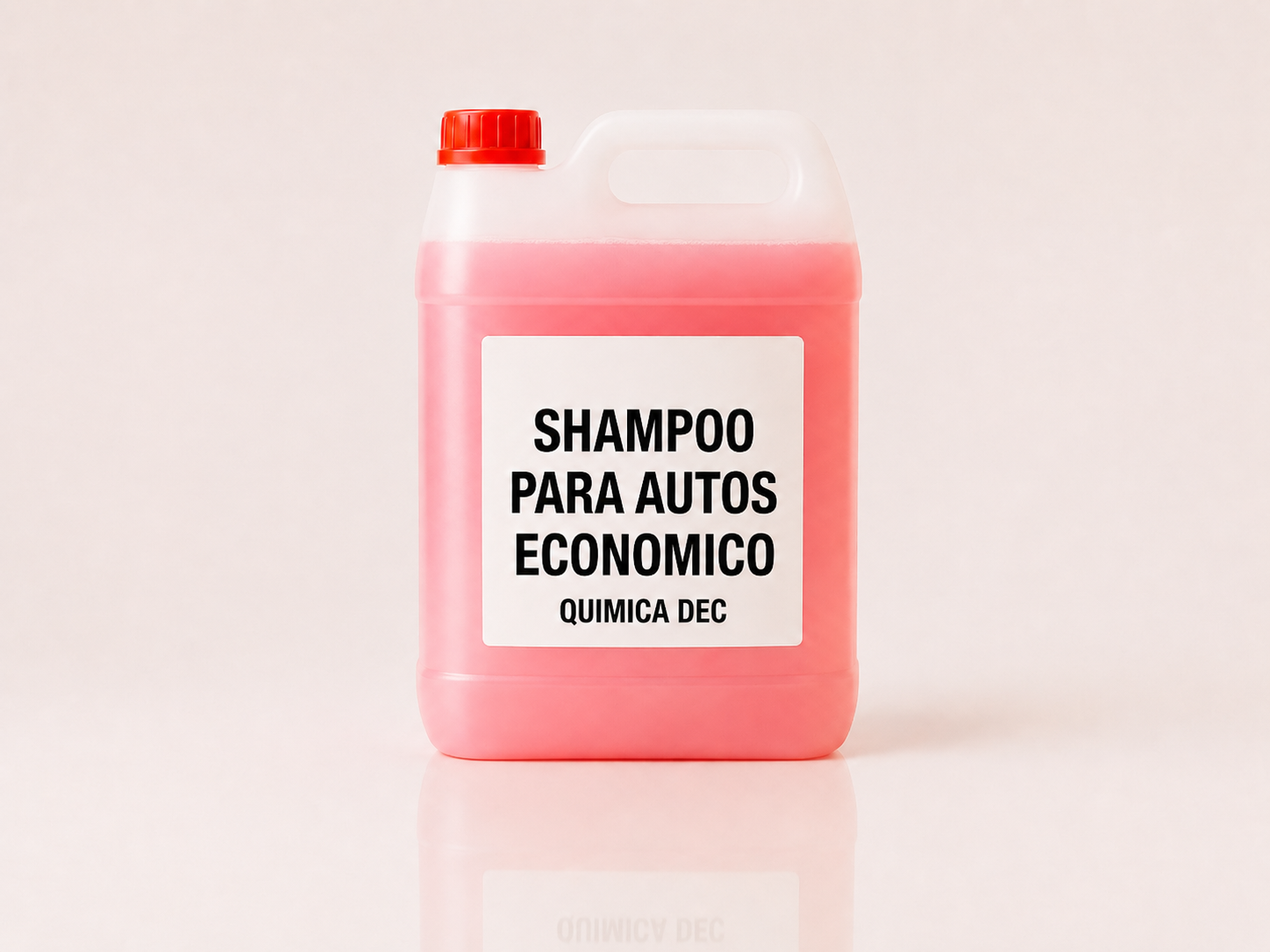 SHAMPOO PARA AUTO ECONOMICO PARA LAVADEROS