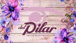 Logo Optica Del Pilar