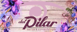 Logo Optica Del Pilar