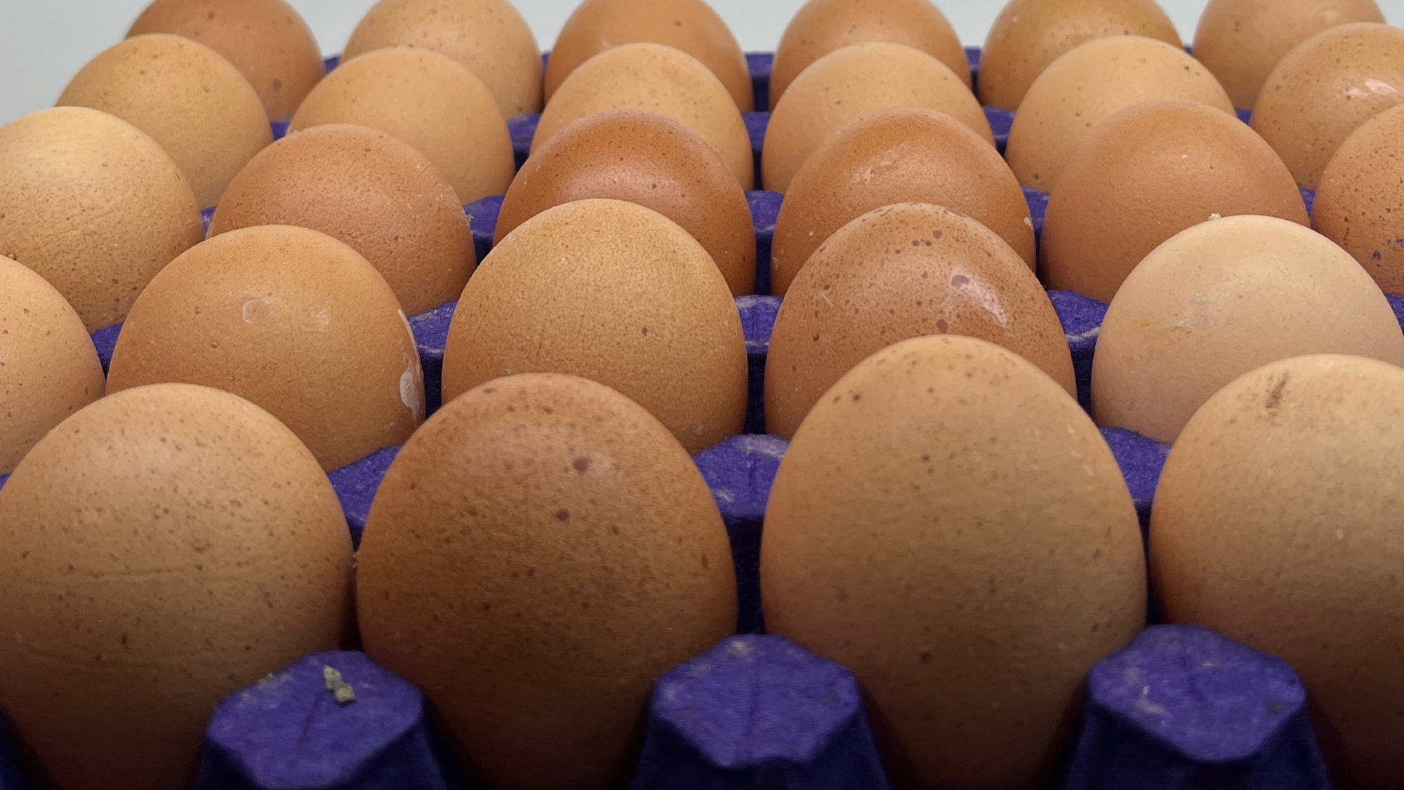 HUEVOS