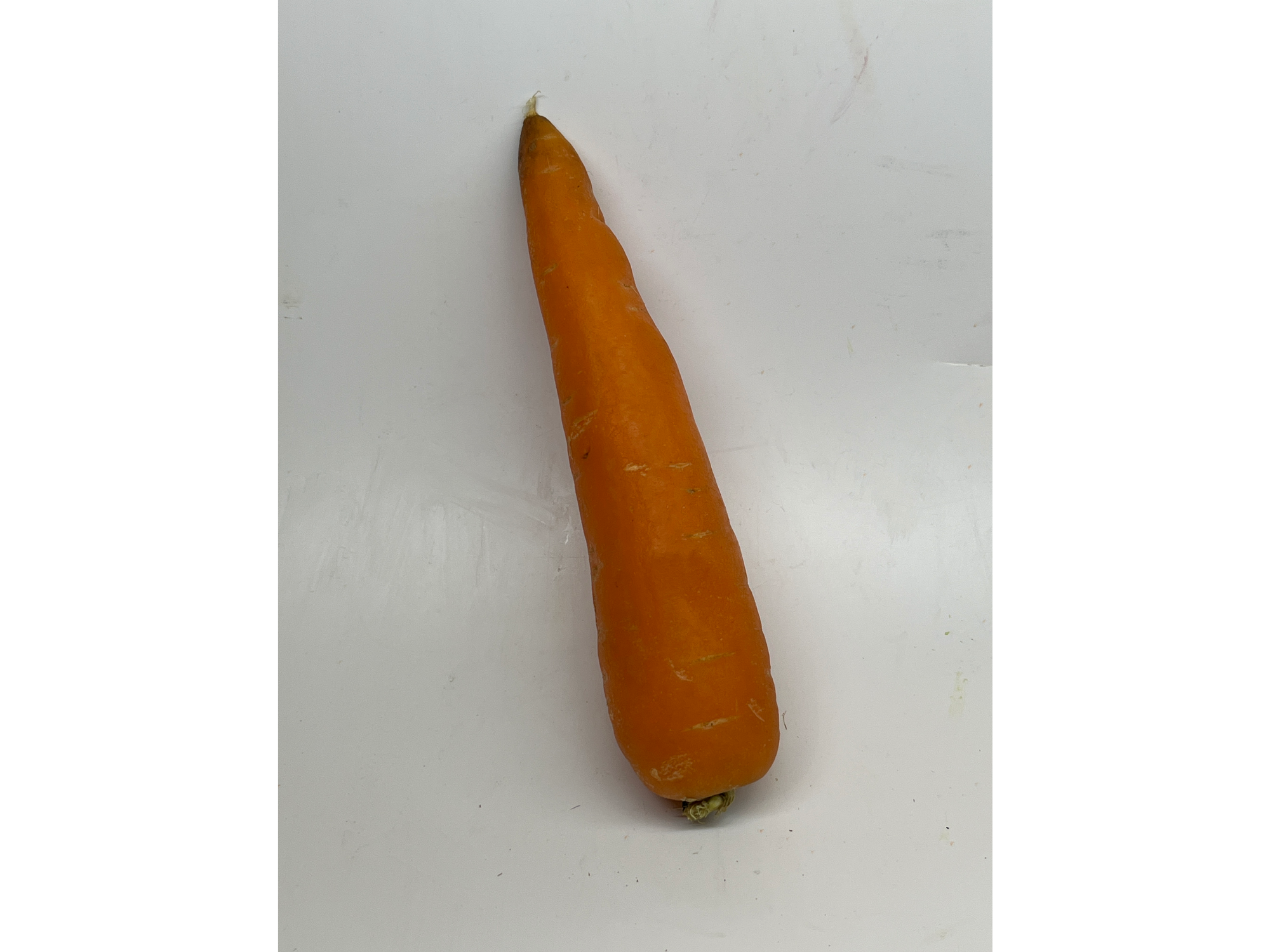 Zanahoria