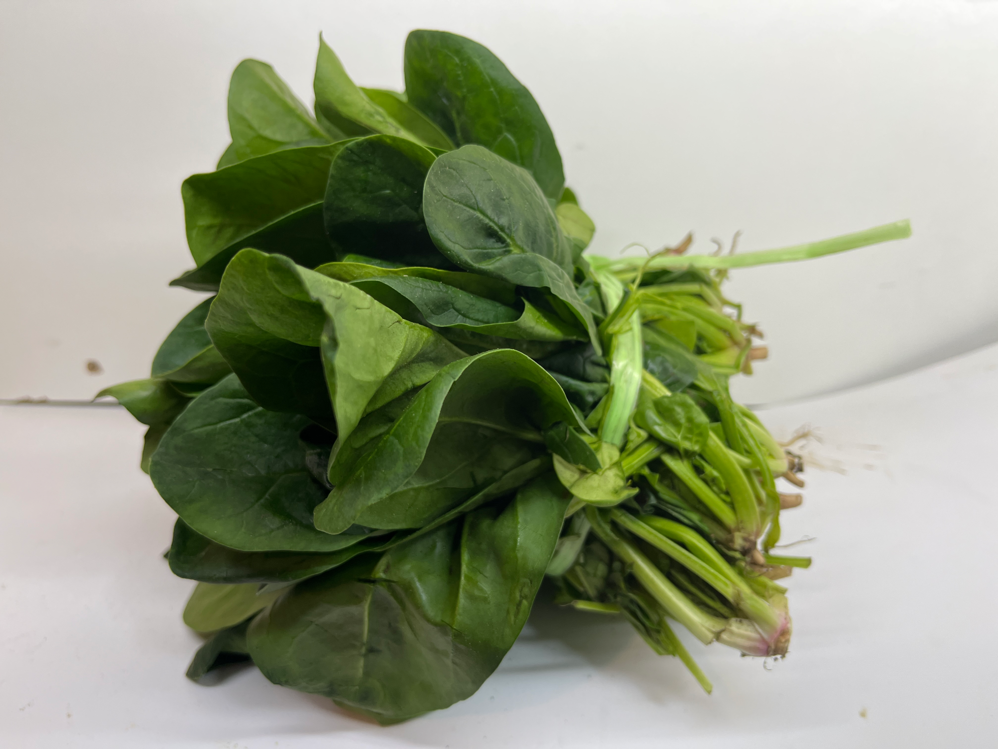 Espinaca