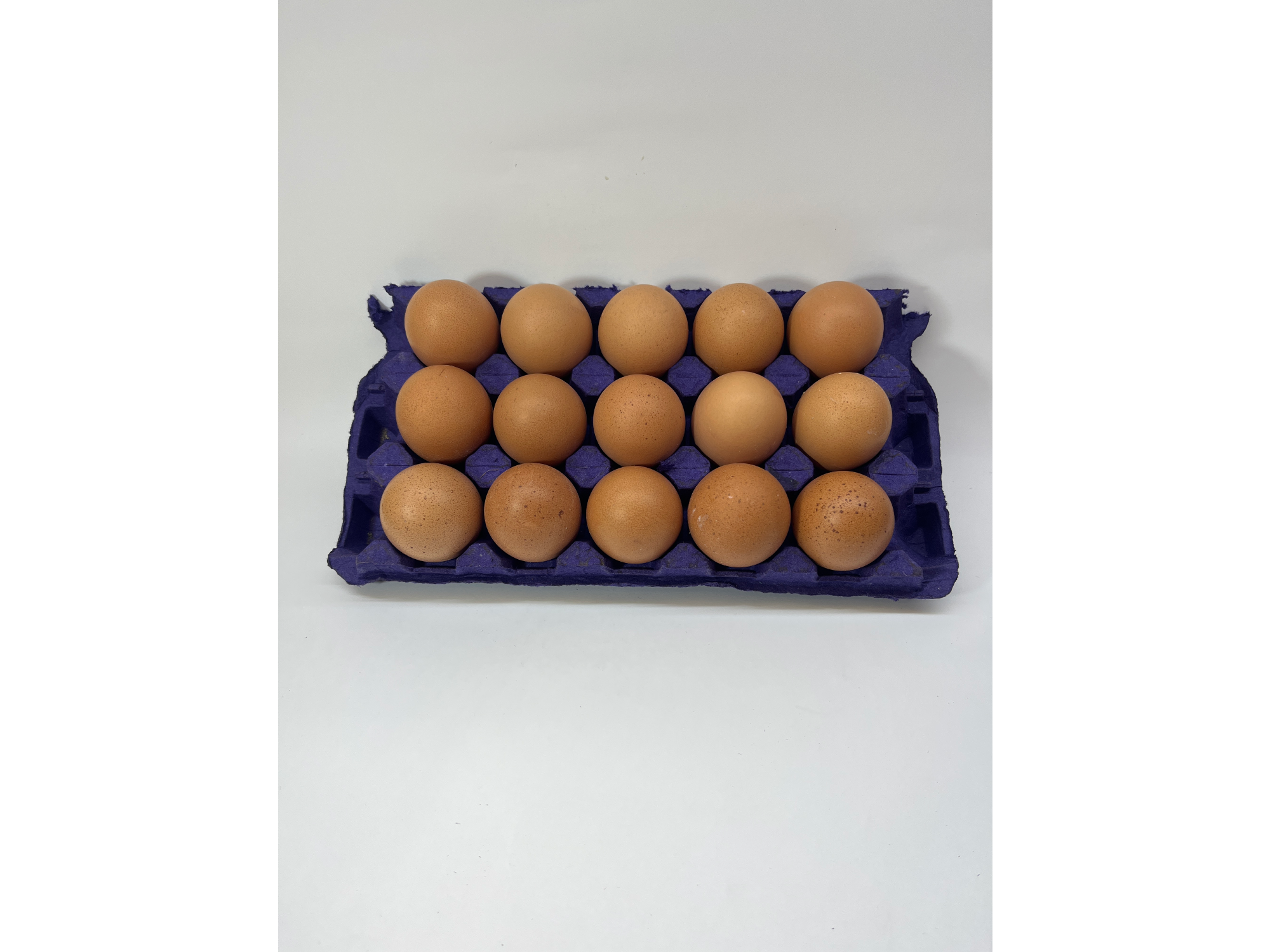 15 Huevos de Campo Orgánico