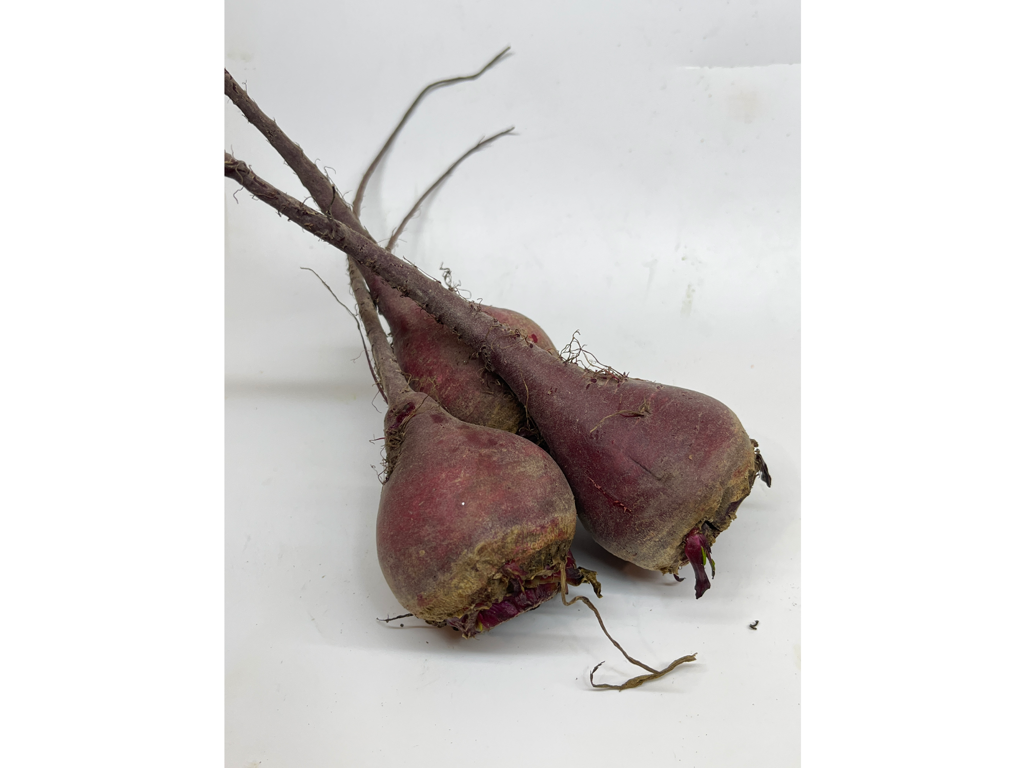 Remolacha Suelta