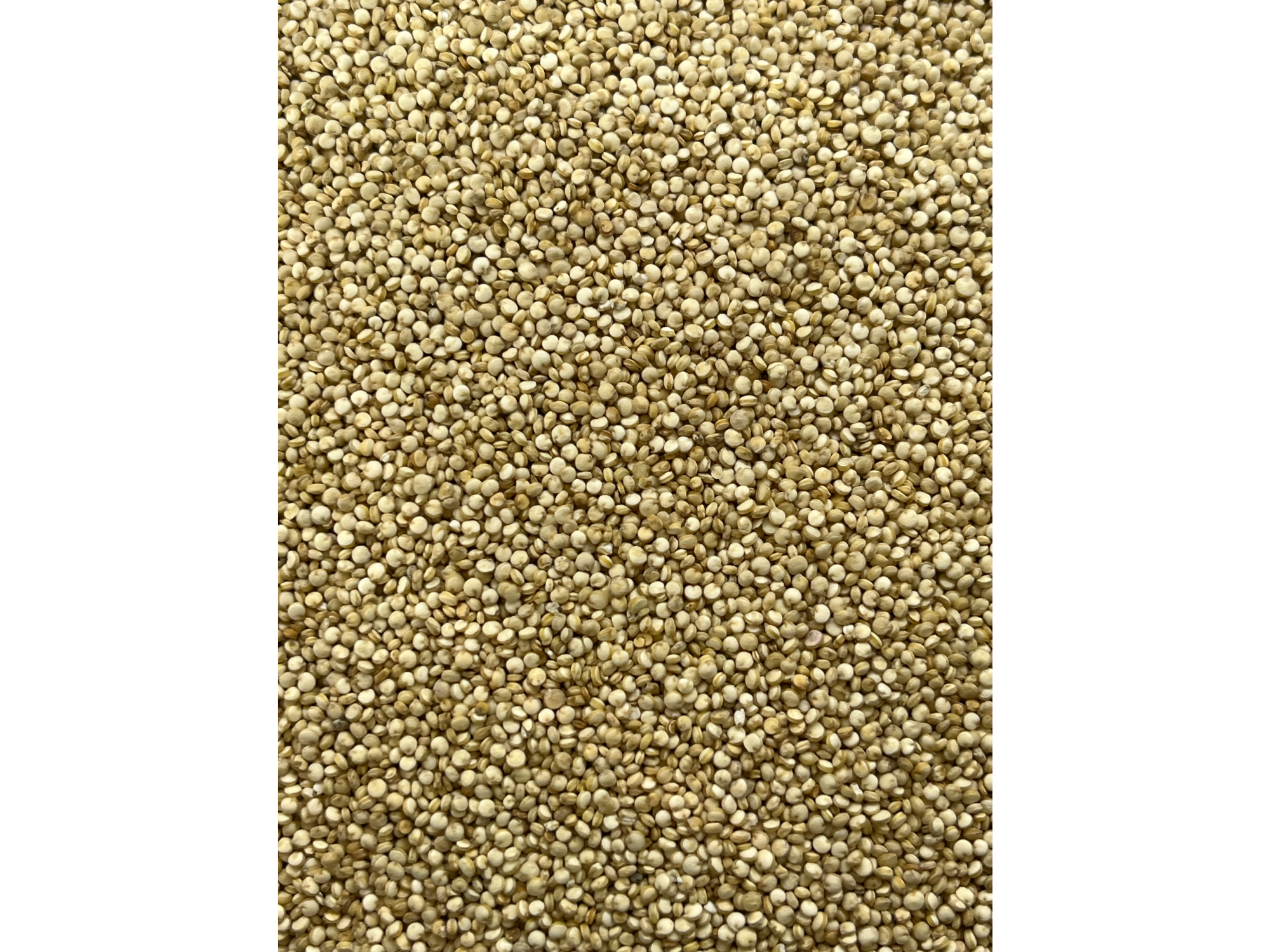 Quinoa x 100 gr
