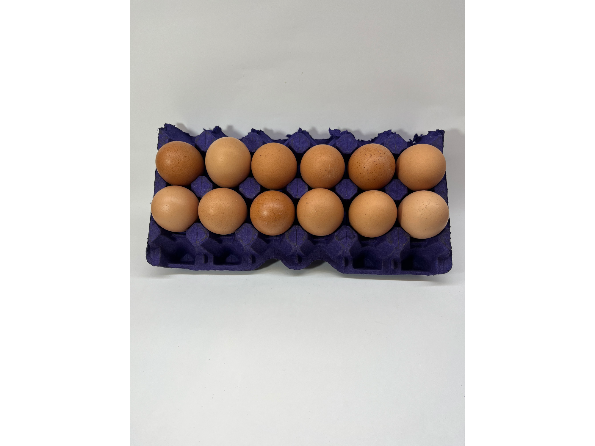 12 Huevos de Campo Orgánico