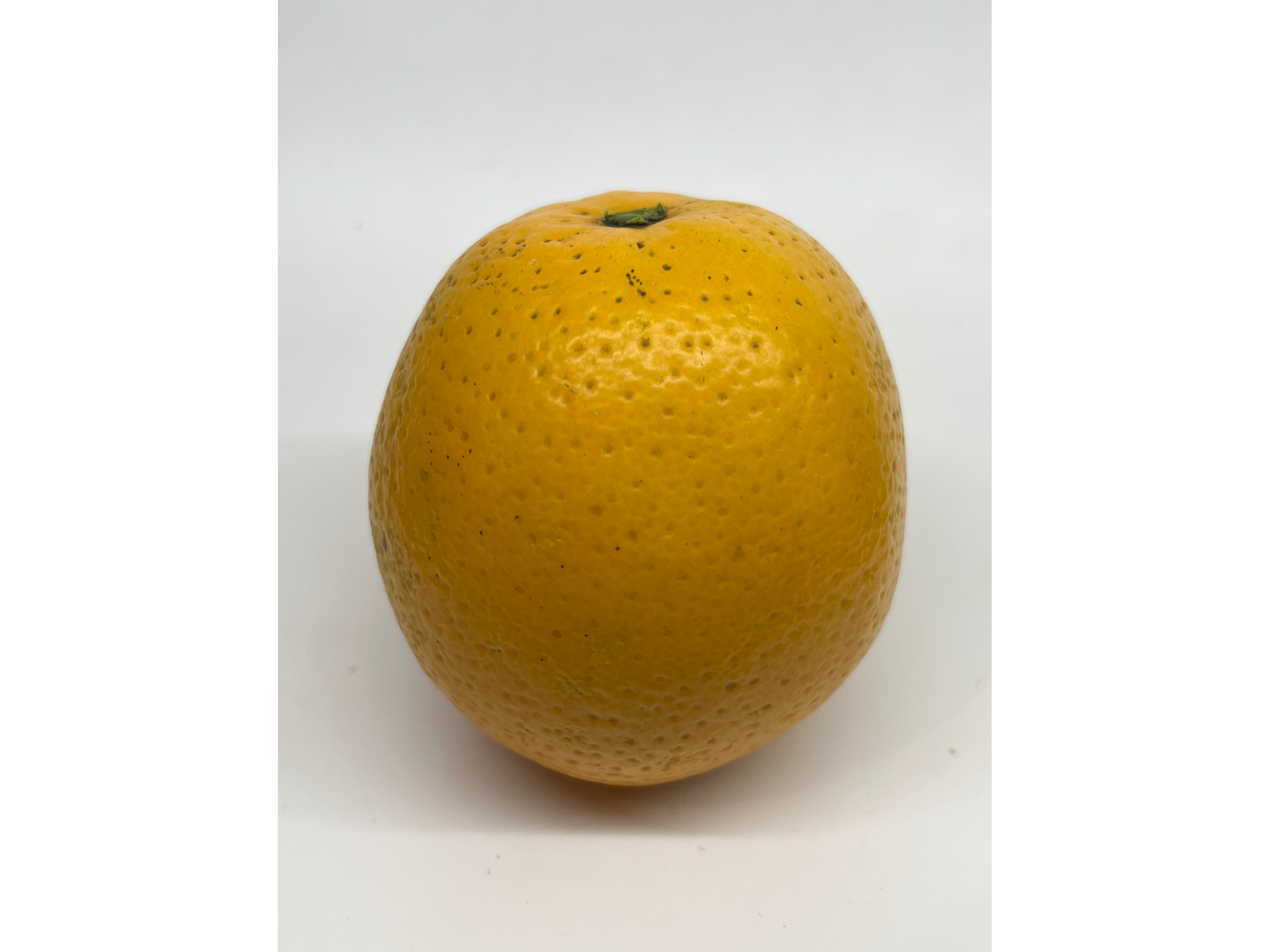 Naranja Sanguina
