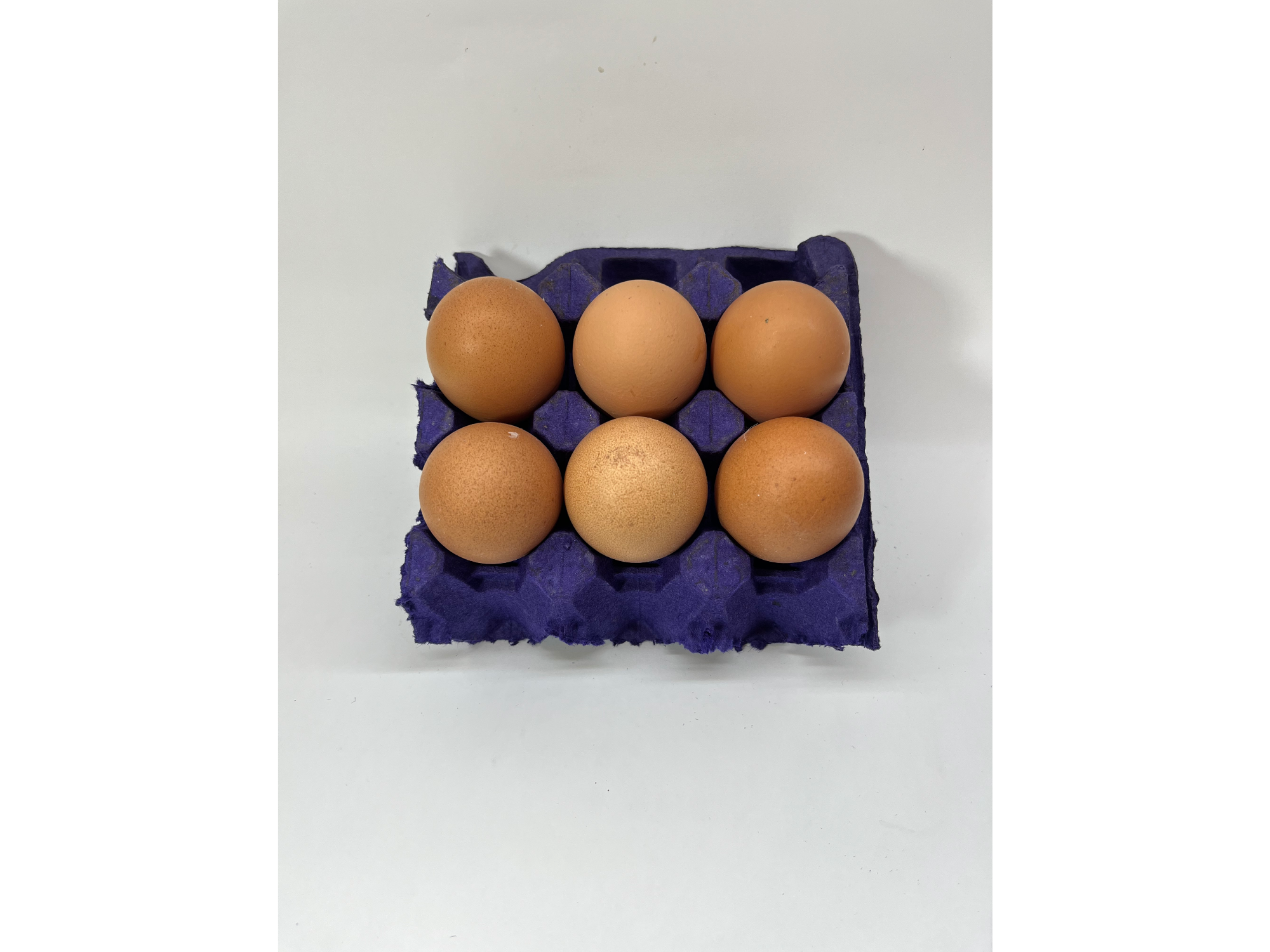 6 Huevos de Campo Orgánico