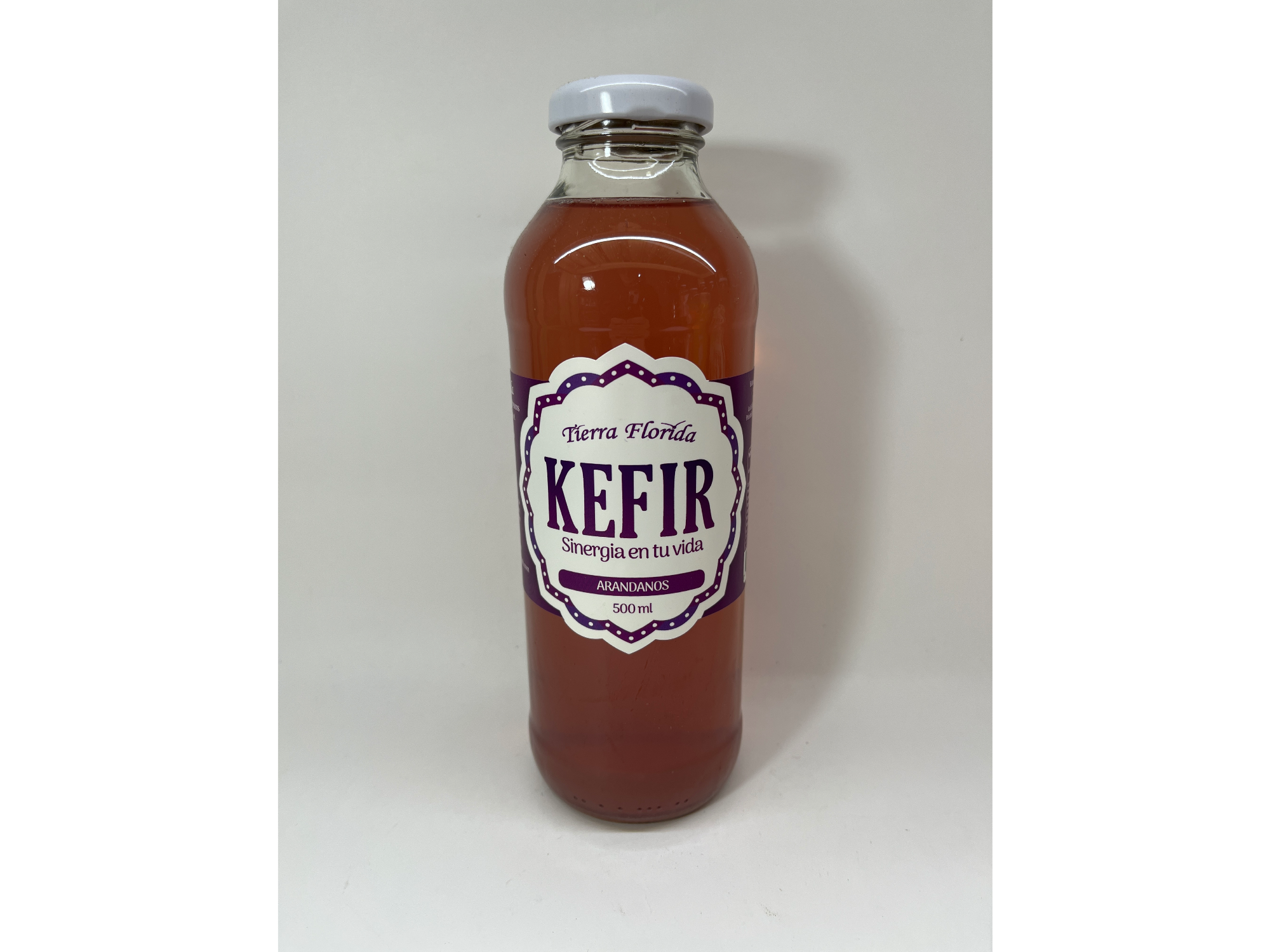 Kefir Tierra Florida de Arándanos 500 ml
