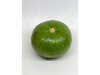 Zapallito