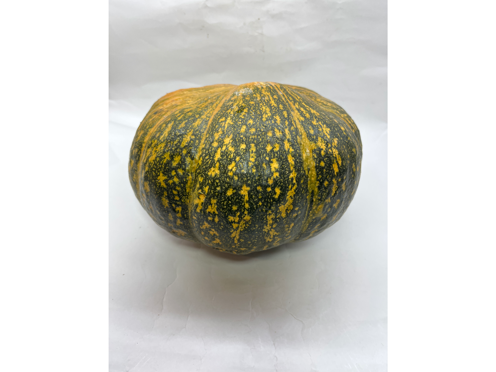 Zapallo Cabutia