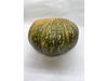 Zapallo Cabutia