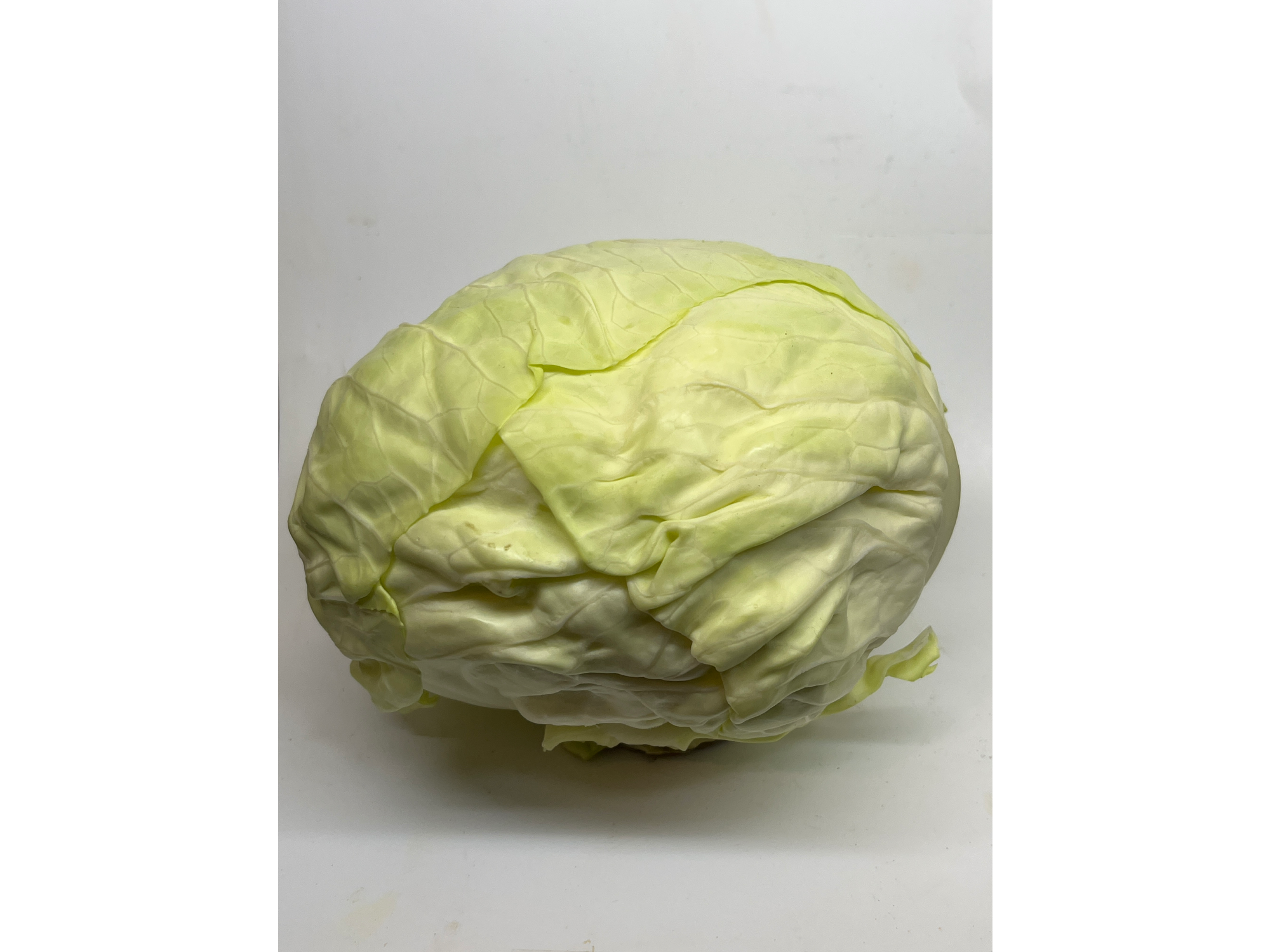 Repollo Blanco