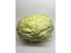 Repollo Blanco