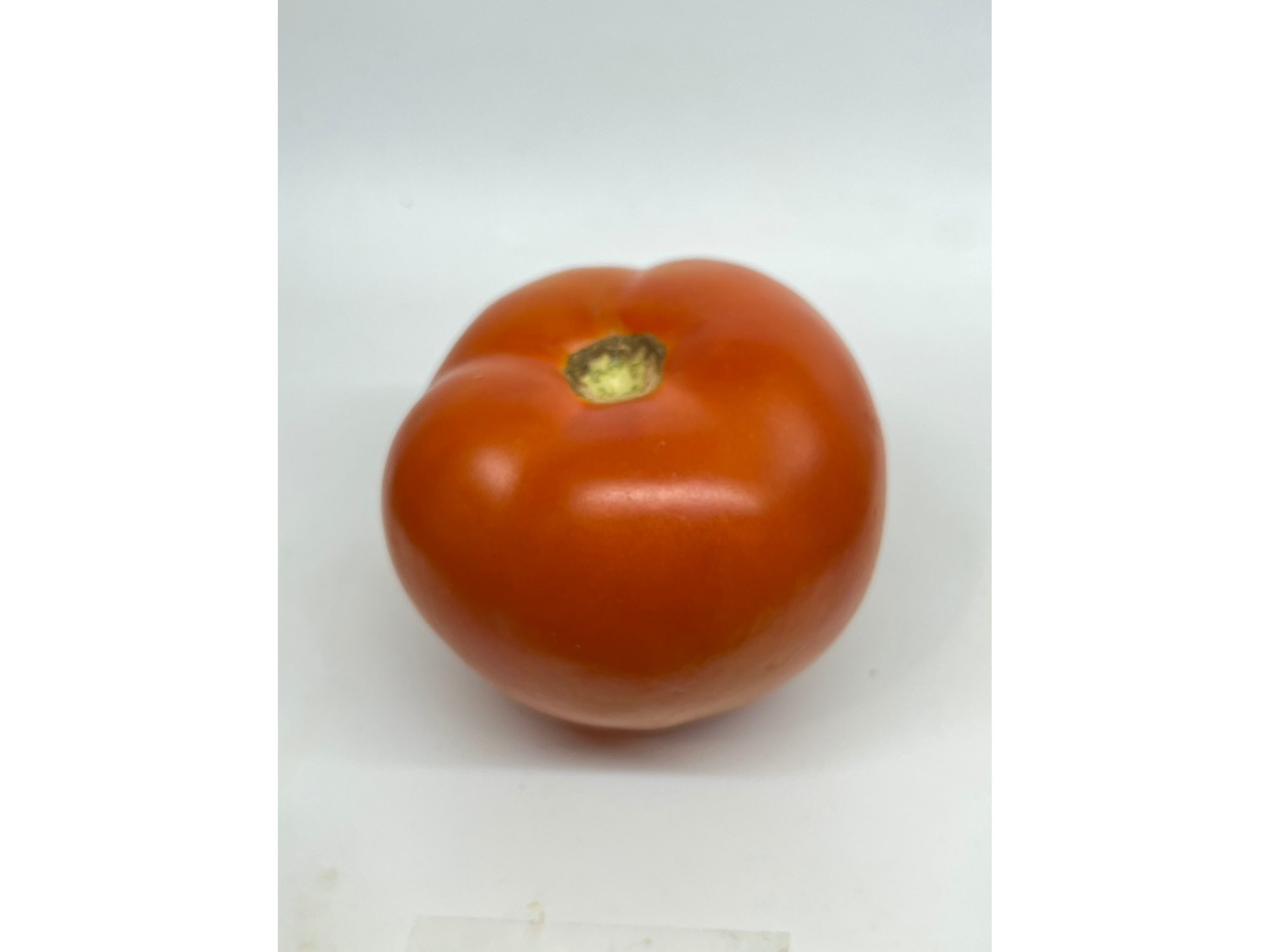 Tomate