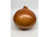 Cebolla