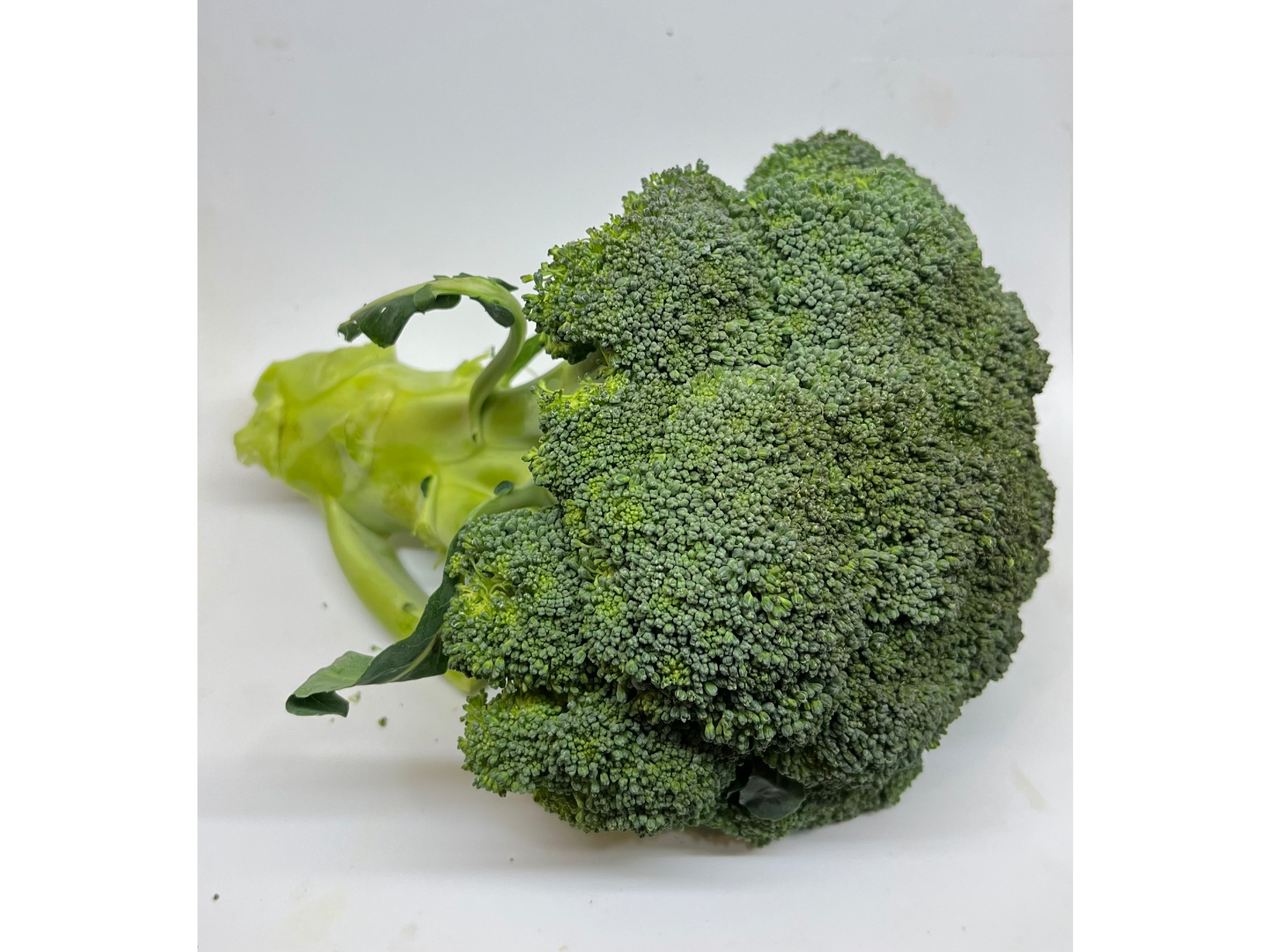 Brocoli