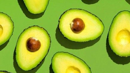 PALTA CONGELADA