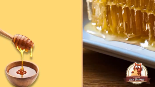 Miel Estancia San Gabriel