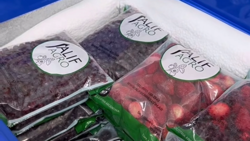 Frutas y Verduras Congeladas