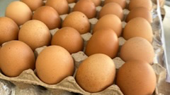 Huevos
