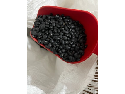 Poroto negro