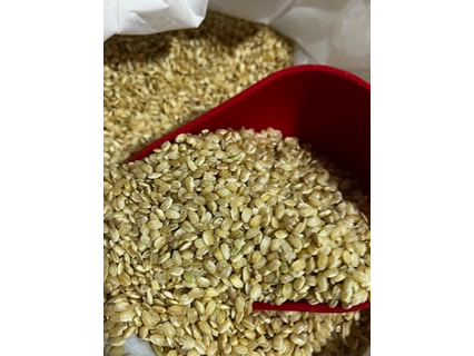 Arroz Yamani Integral