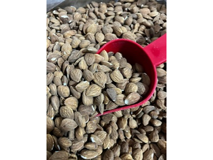 Almendras Guara mediana