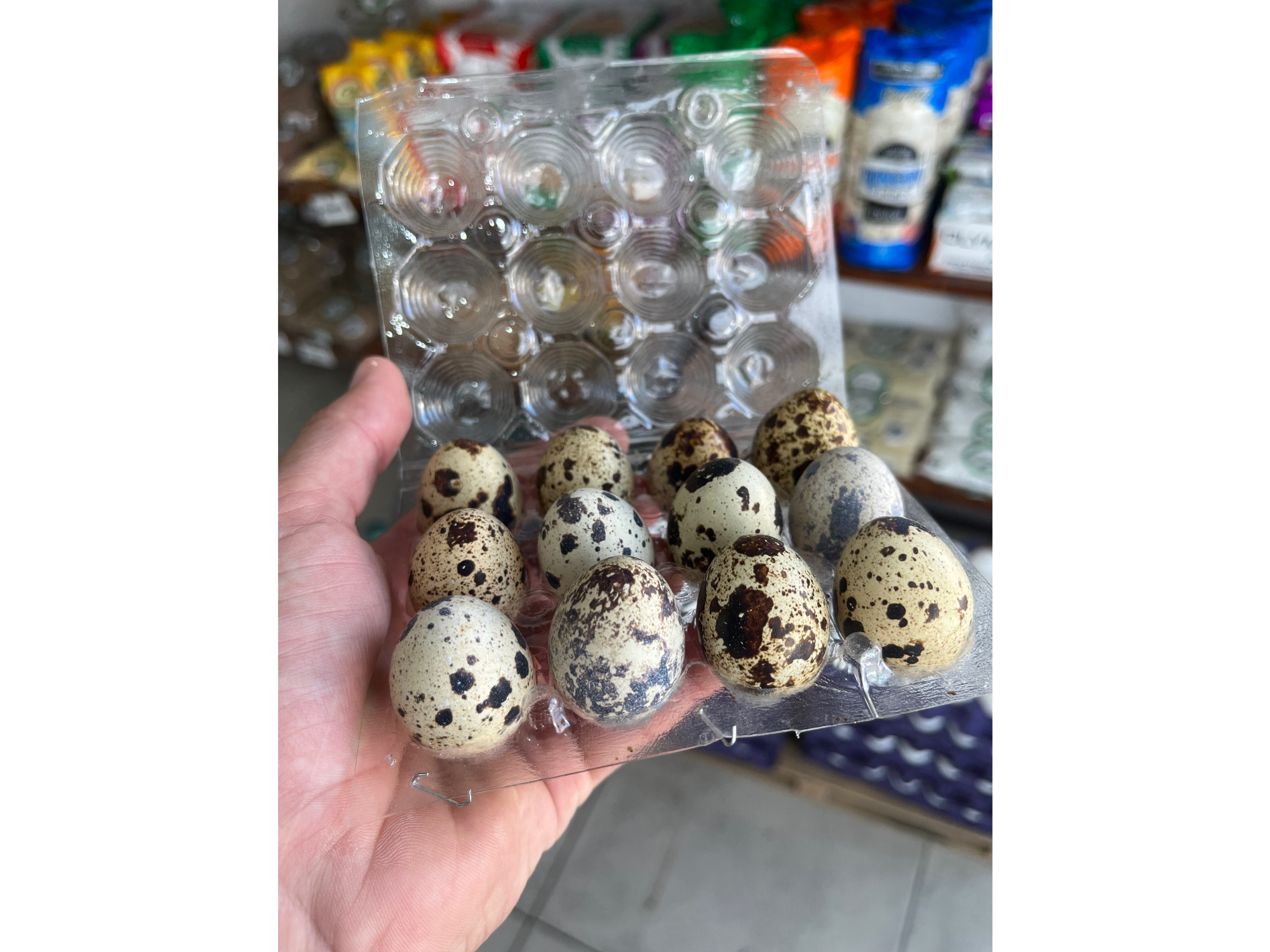 Huevo de codorniz x 12un