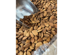 Almendra Non Pareil grande