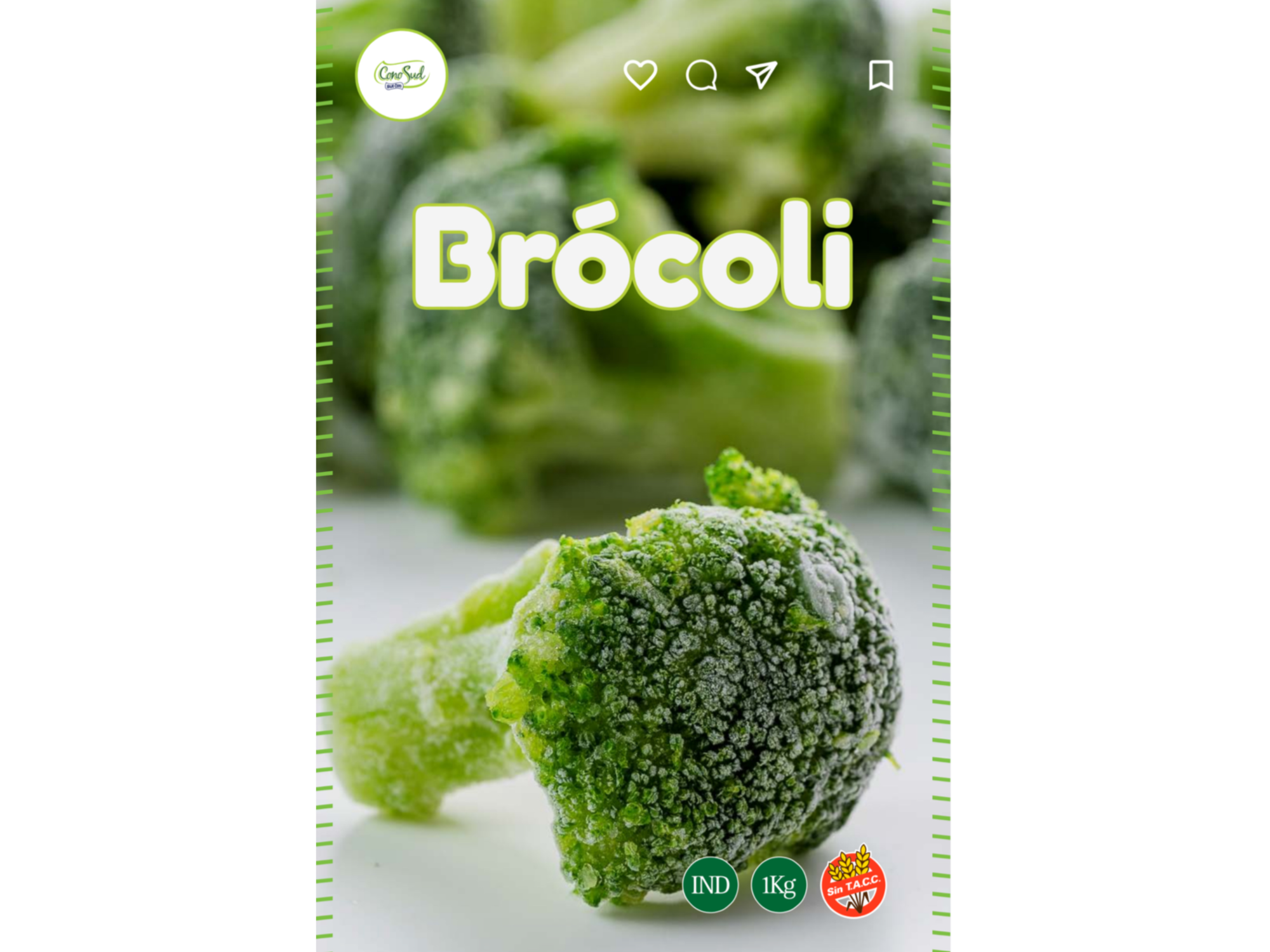 Brocoli x 1 kg