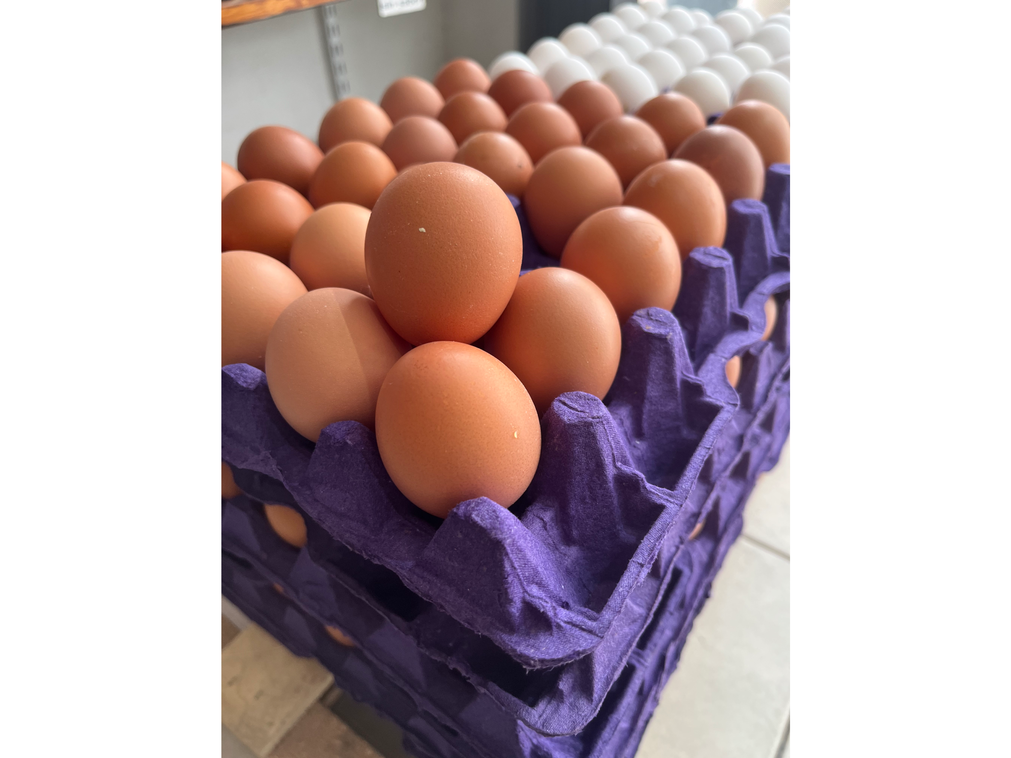 Maple de huevos chicos  N4