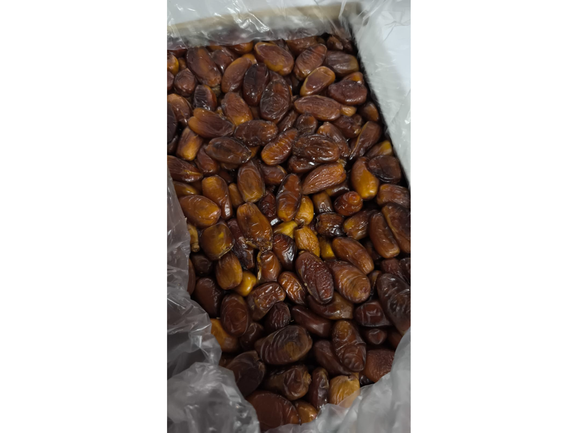 Datiles con carozo de Argelia