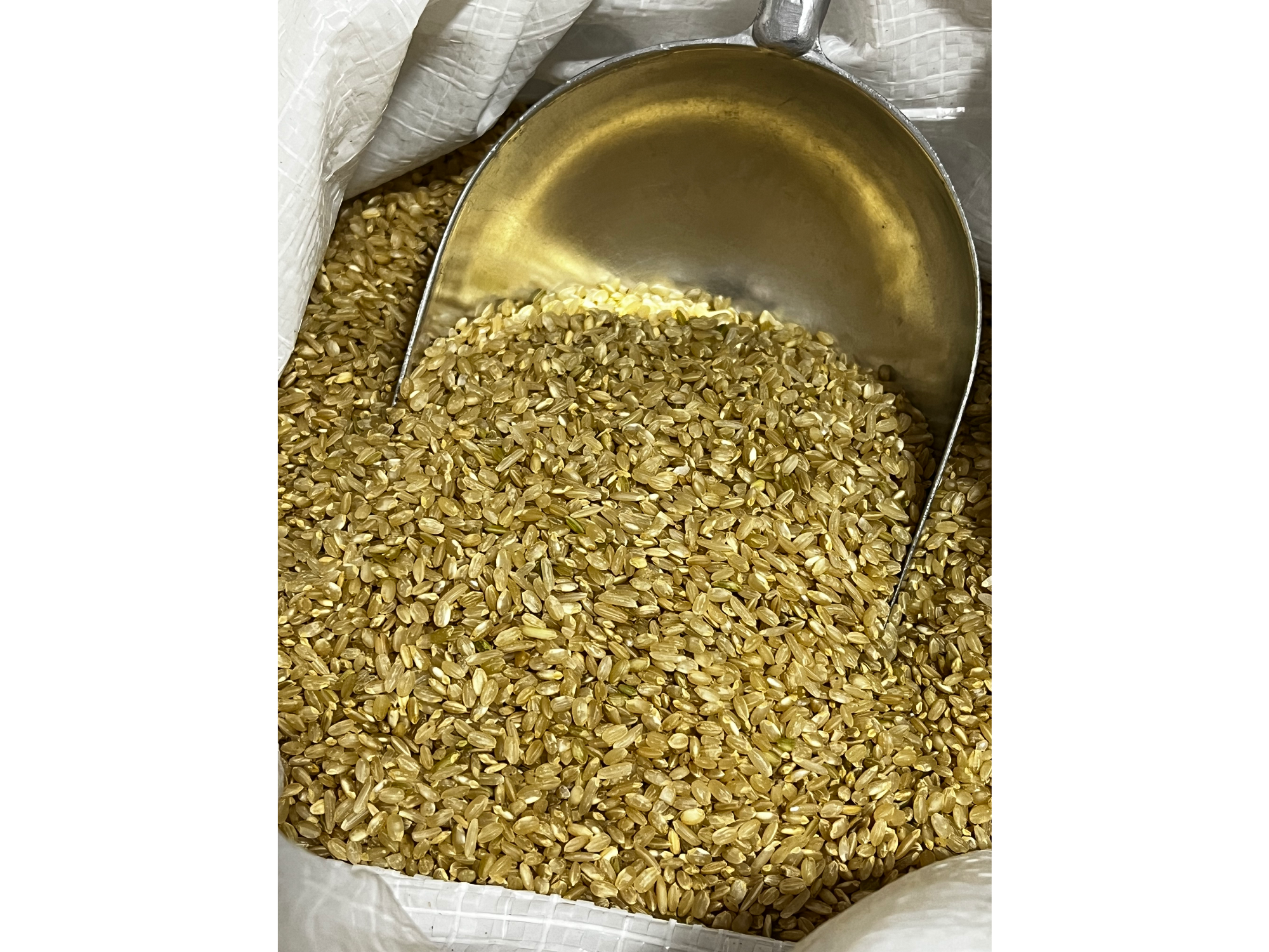 Arroz Yamaní x 1 kg