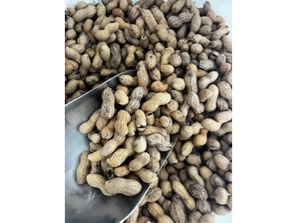 Maní con cascara