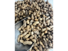Maní con cascara