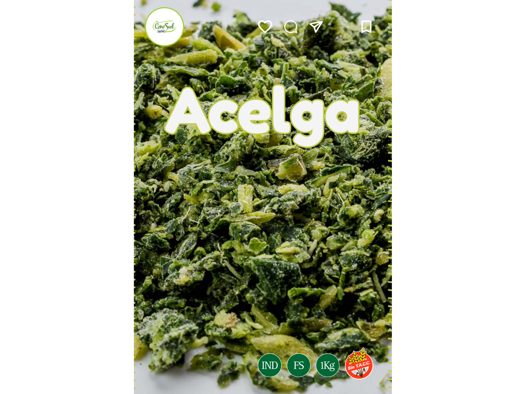Acelga x 1 kg