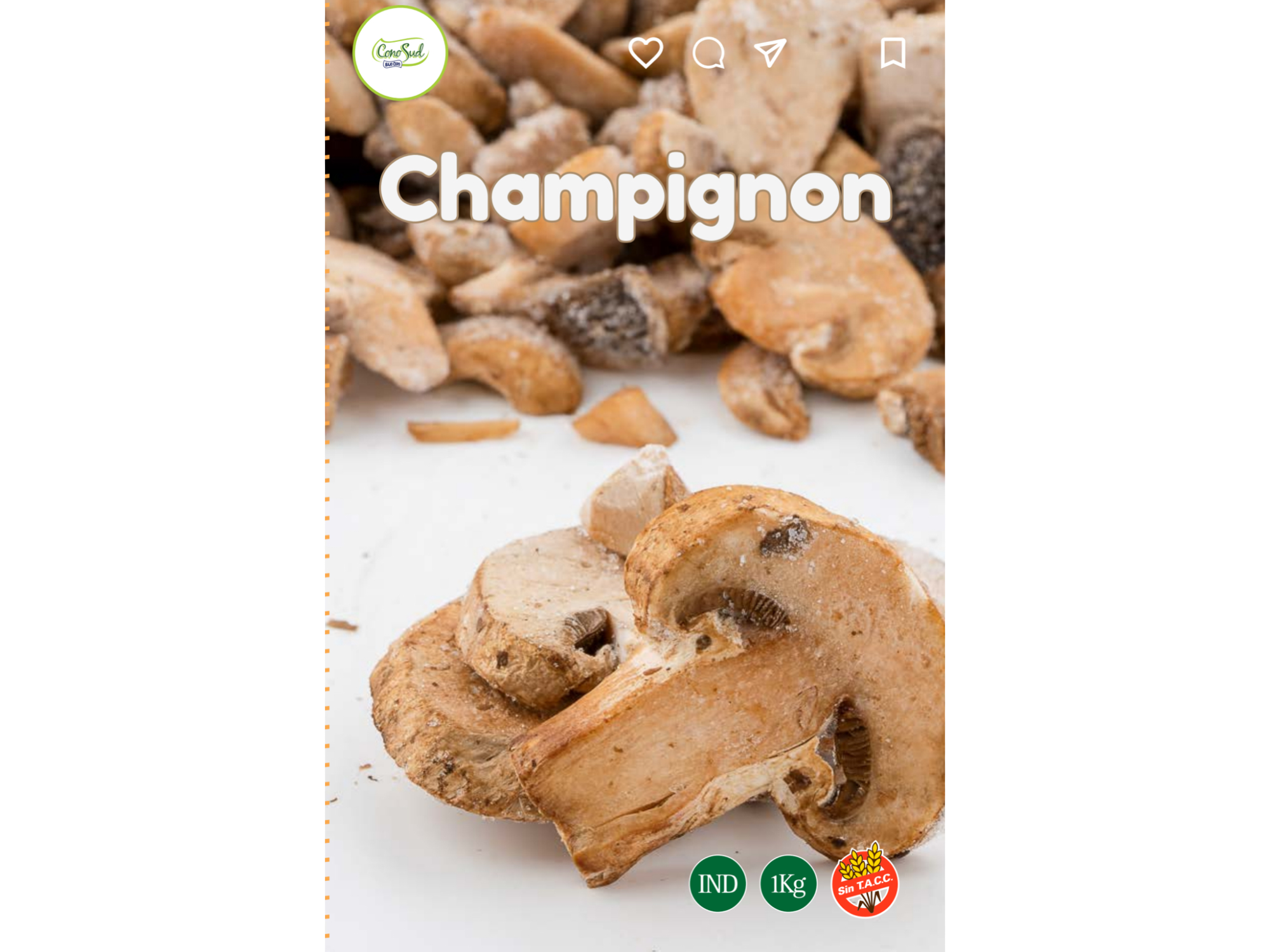 Champignon