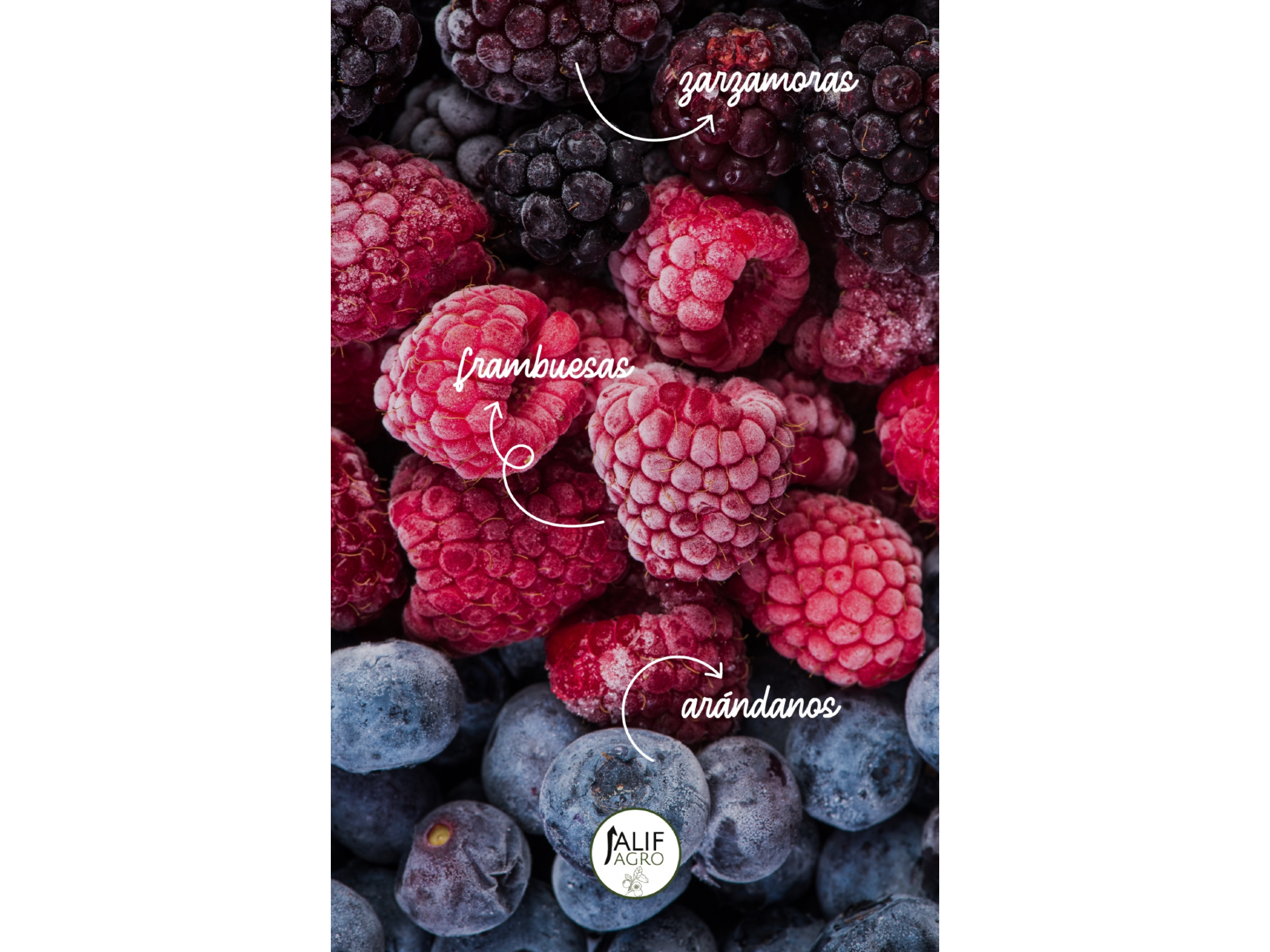 Mix frtutos rojos x 1 kg